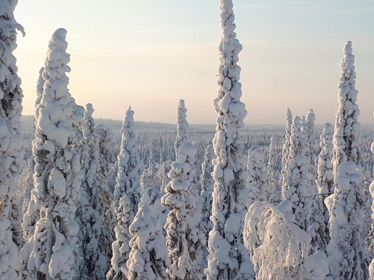 Hietavilla Aurora Рука Екстер'єр фото
